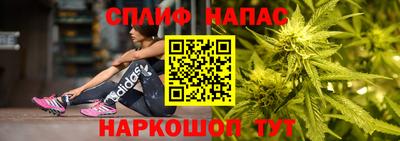 прущие грибы Старая Купавна
