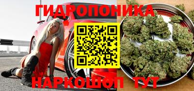прущие грибы Старая Купавна