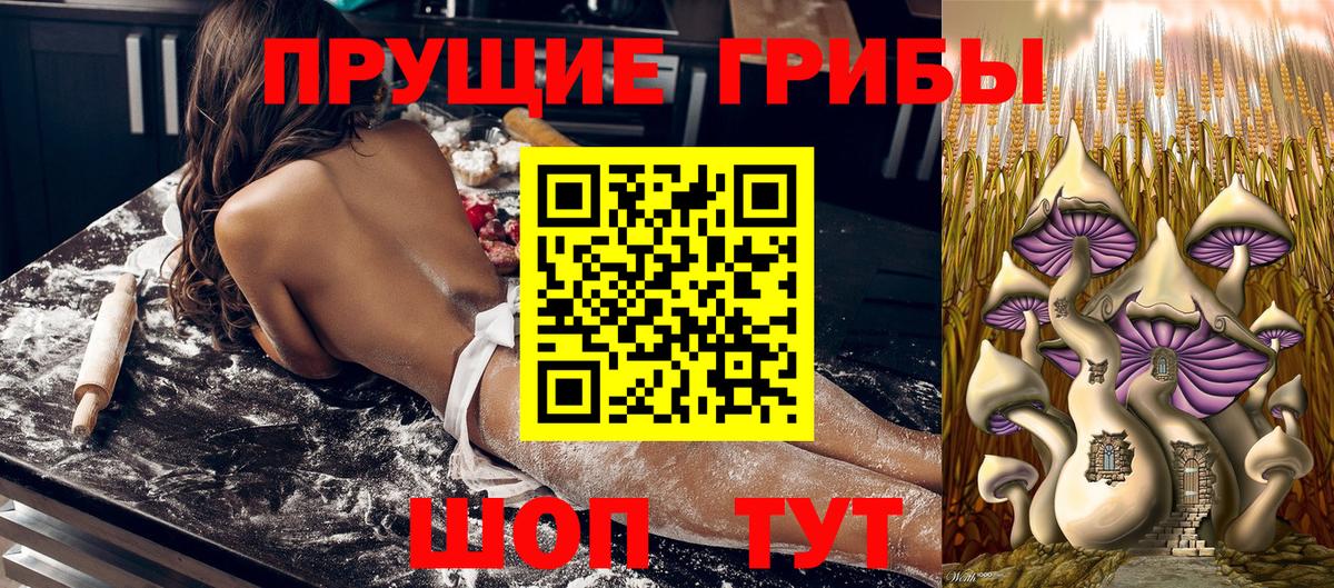 Псилоцибиновые грибы Magic Shrooms  закладки  Белогорск  Вход с VPN 